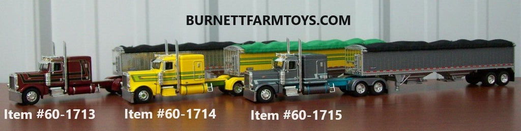 The New Year 2024 In Full Swing